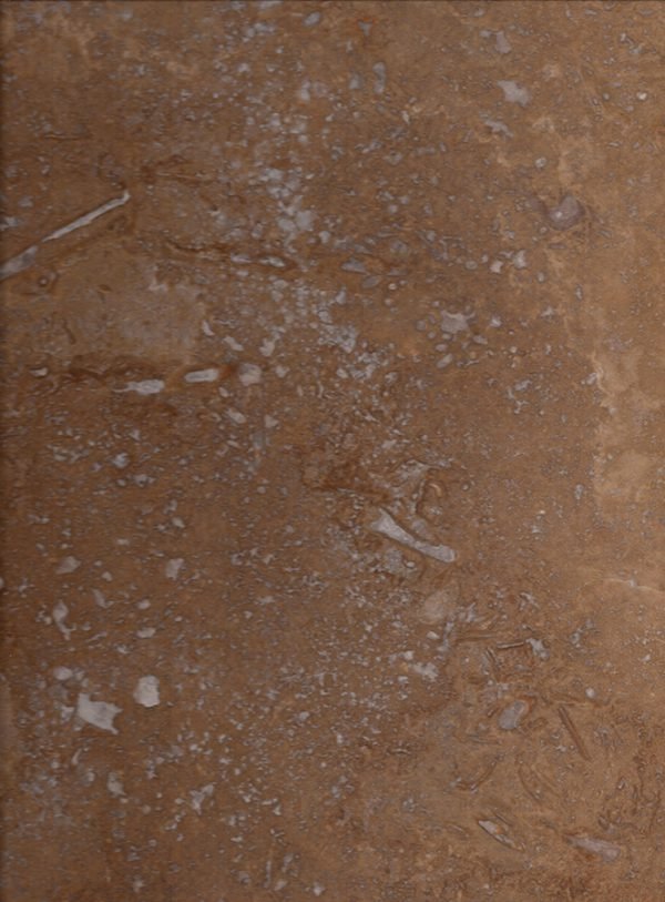 كتلة تراورتين نوتشي – قطع عرضي (CC) — warm walnut brown with cream cloud fossil patterns (cross cut) — حجر طبيعي بالجملة